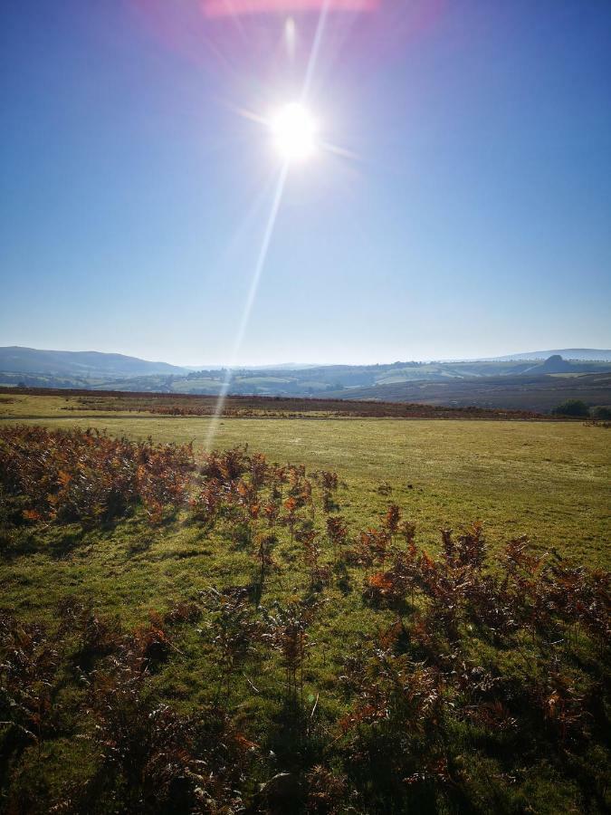 Pen-Rhos Luxury Glamping "Cuckoo'S Nest" Villa Llandrindod Wells Exterior photo