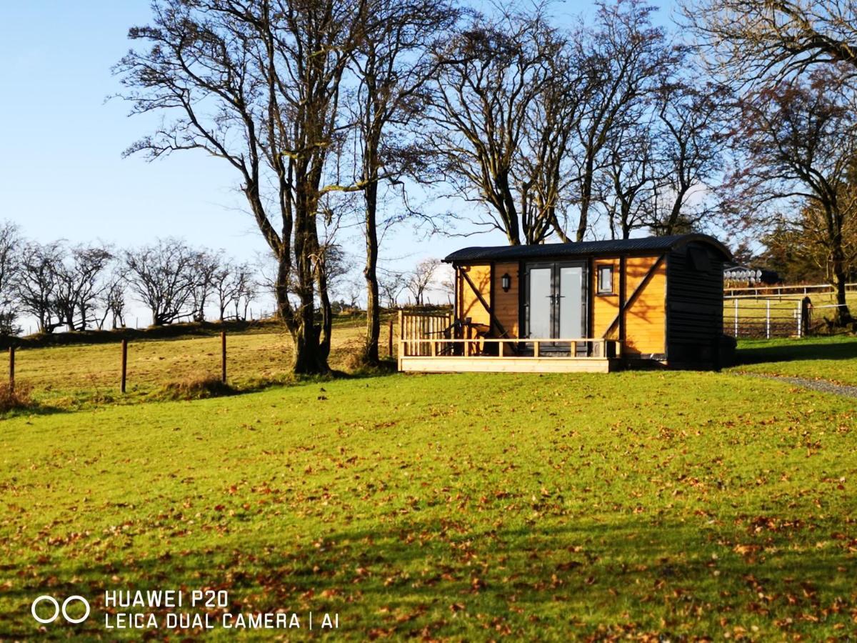 Pen-Rhos Luxury Glamping "Cuckoo'S Nest" Villa Llandrindod Wells Exterior photo